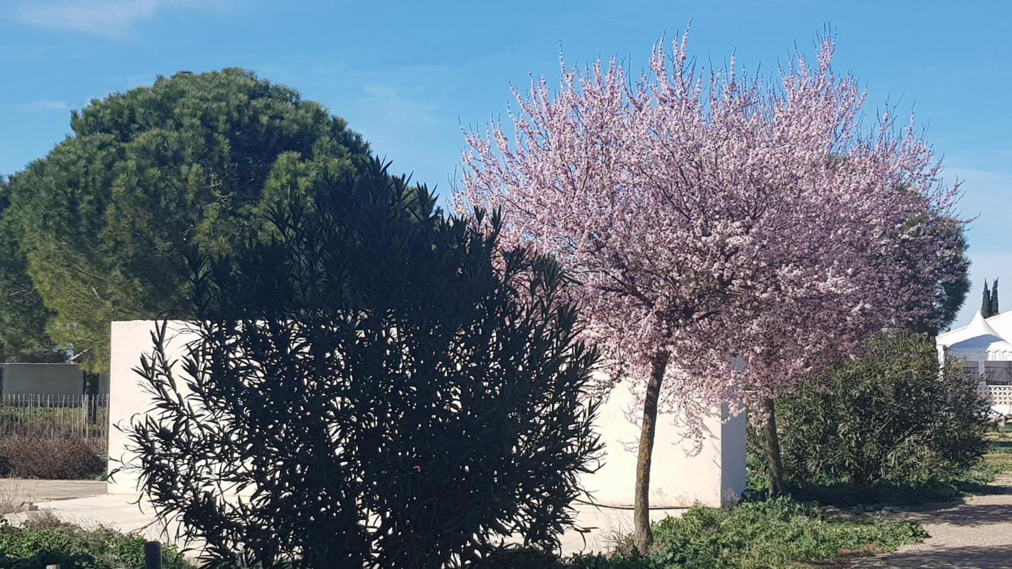 Domaine De L'outarde Canepetiere A Casa vacanze Aigues-Mortes