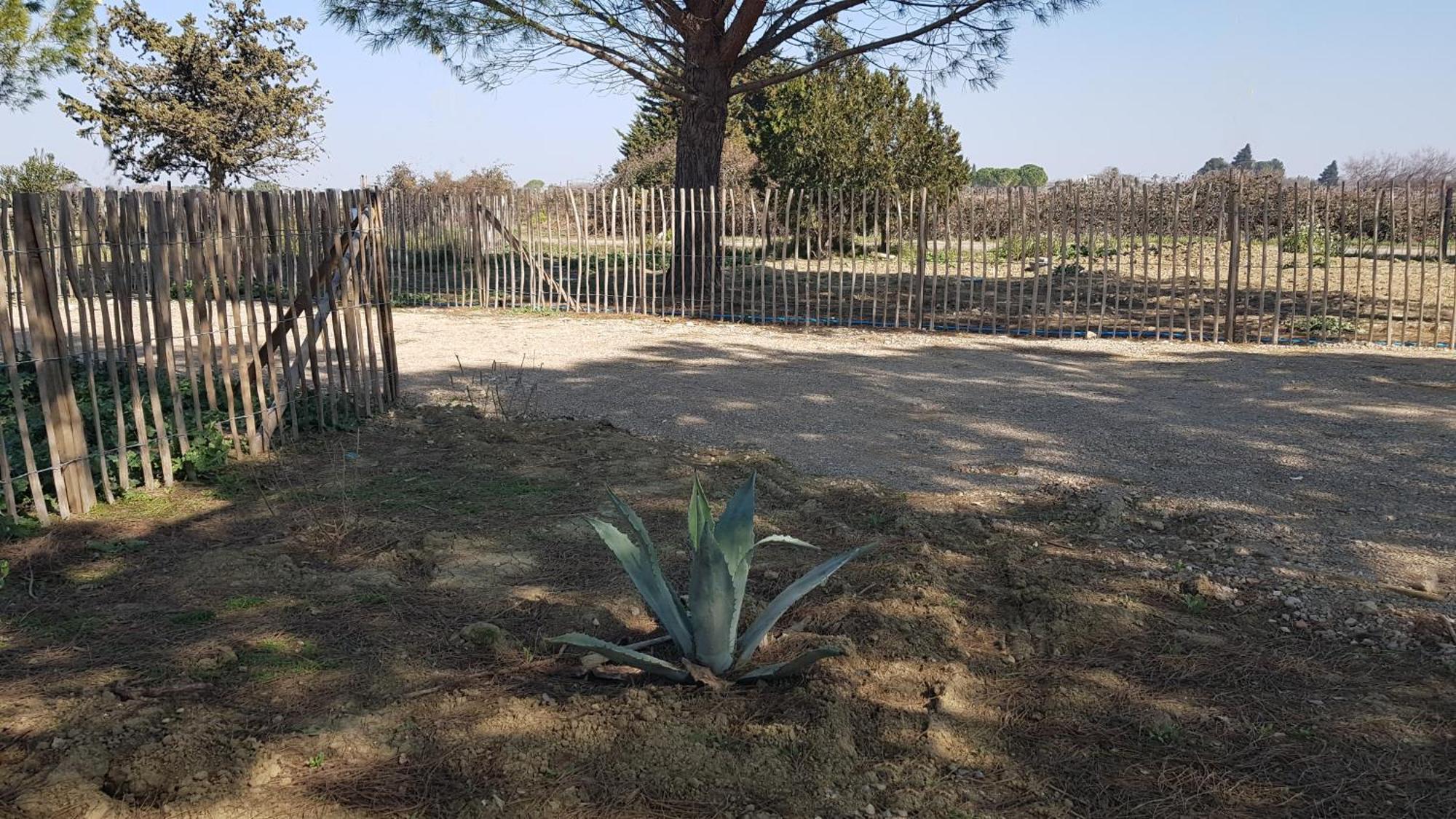 Casa vacanze Domaine De L'outarde Canepetiere A Aigues-Mortes