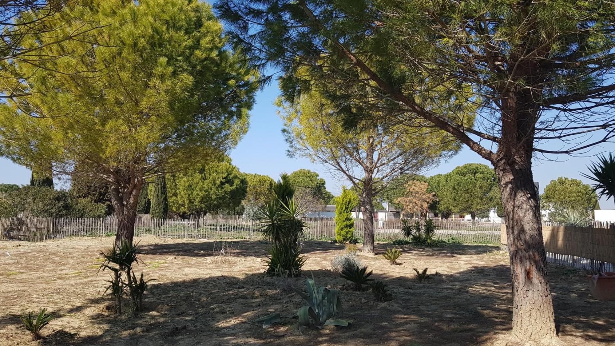 Domaine De L'outarde Canepetiere A * Aigues-Mortes