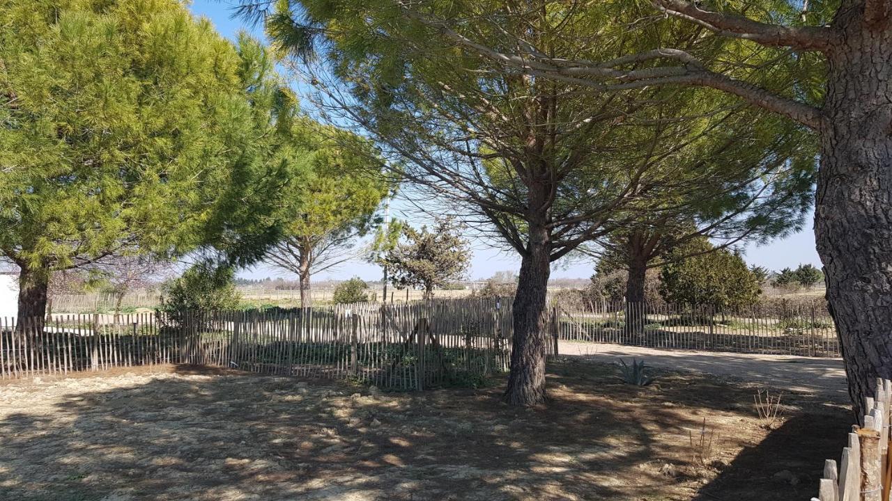 Ferienhaus Domaine De L'outarde Canepetiere A