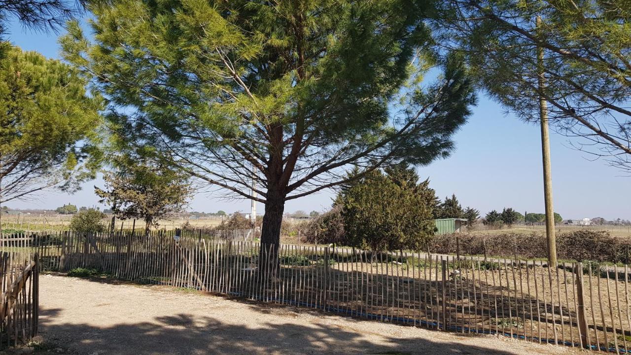 Domaine De L'outarde Canepetiere A Aigues-Mortes