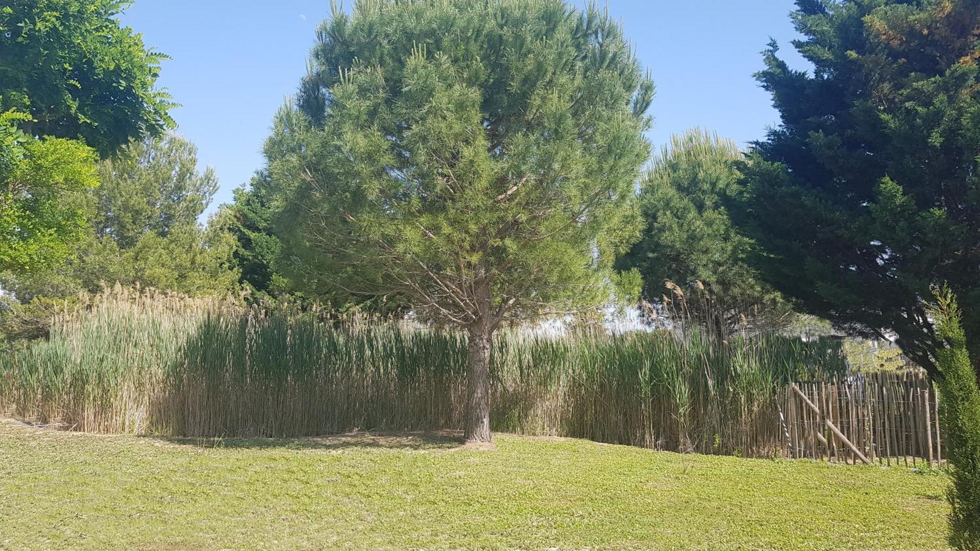 Ferienhaus Domaine De L'outarde Canepetiere A *