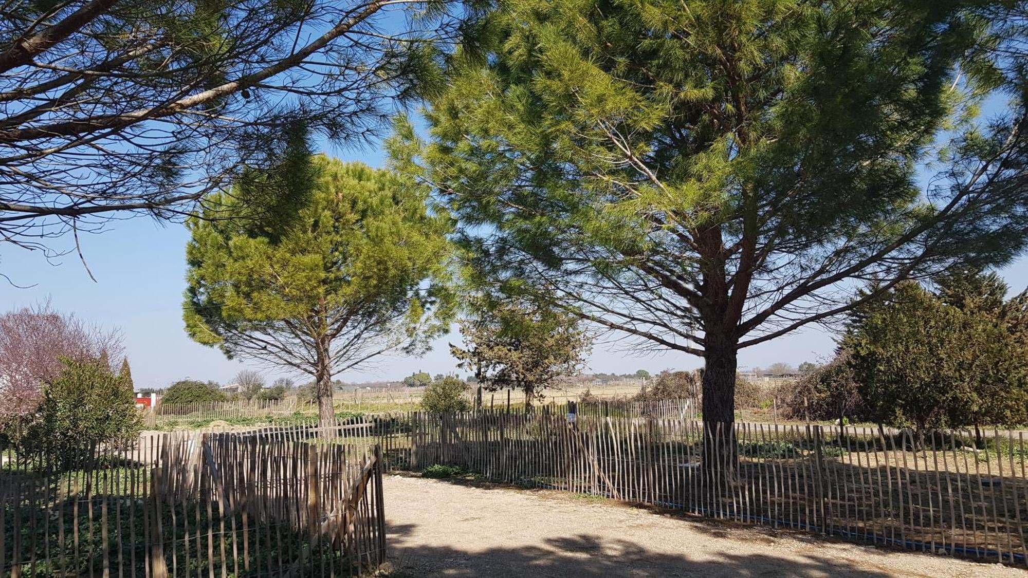 Domaine De L'outarde Canepetiere A Ferienhaus Aigues-Mortes